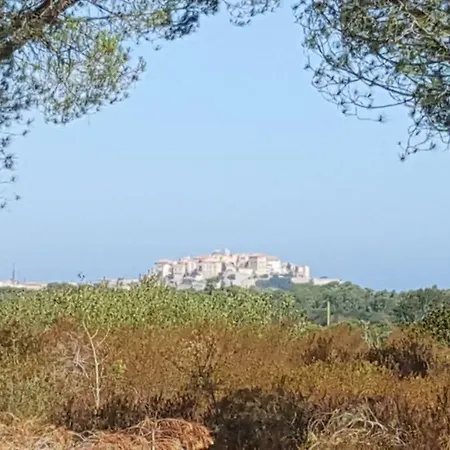 L'ortu D'elisange